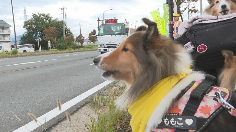 「事故にあワン」10匹の“犬のお巡りさん”出動！　警察犬や愛犬が安全運転を呼びかけ　日没早まる中「早めにライト点灯、速度を落として」　秋の全国交通安全運動は9月30日まで｜FNNプライムオンライン