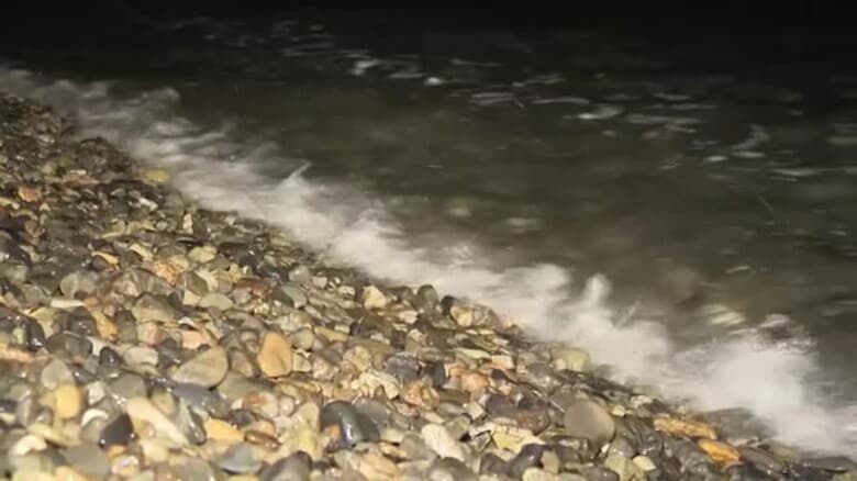 海でシュノーケリング中だった13歳男子中学生が行方不明 家族と訪れていてラッシュガードに水着姿 海保等が捜索｜FNNプライムオンライン