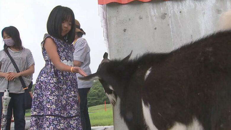 日本最大規模の草原ドッグランも　雄大な自然と動物との触れ合い楽しめる新たな観光スポット登場　大分｜FNNプライムオンライン