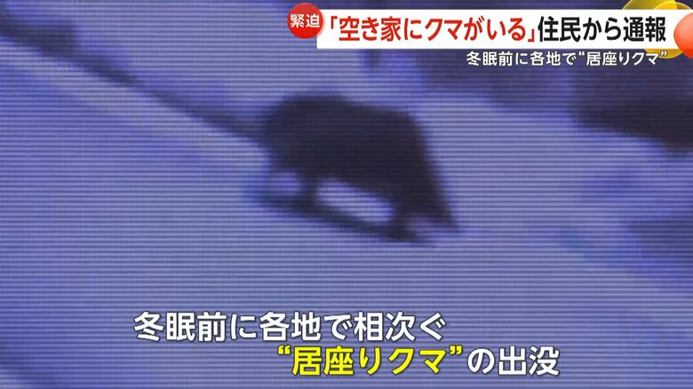「どこから来たんだろう」“スーパー居座りクマ”3日目に捕獲…福島では空き家にクマ侵入　個体数増加で今までいなかった地域にも出没｜FNNプライムオンライン