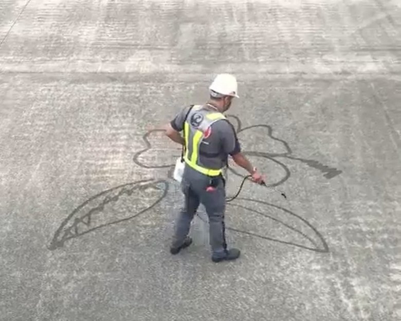 動画はハイビスカスの描く途中から始まる