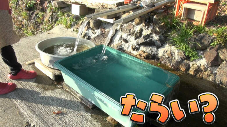 和歌山・井関温泉「たらいの湯」