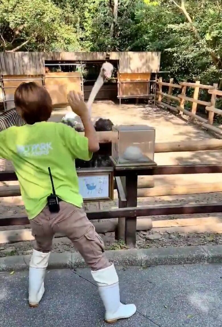 しぶしぶとしゃがみ込んで…