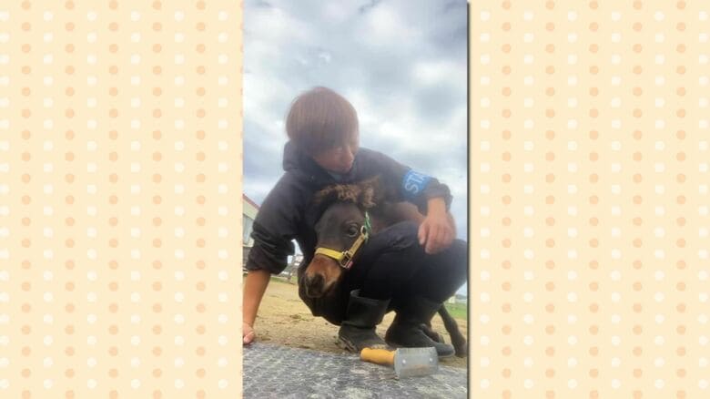 （提供：おひさま牧場）