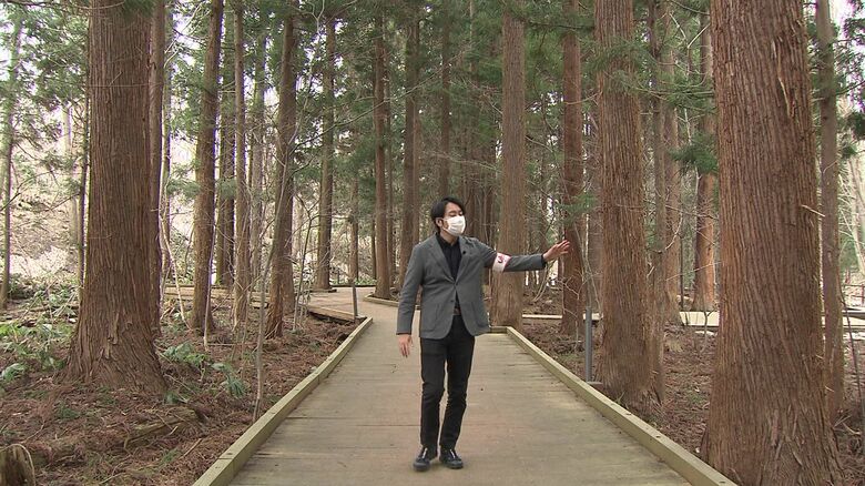 円山公園と円山動物園を結ぶ木道