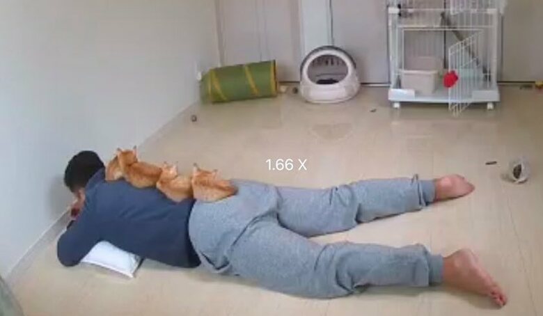 提供：oimo & yuzukiさん