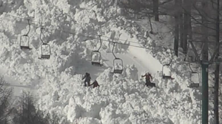 警察や探索犬が捜索