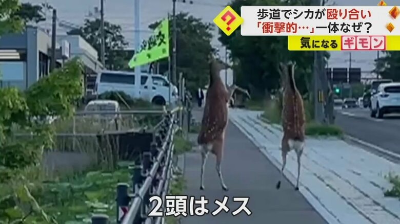 （北海道根室振興局）