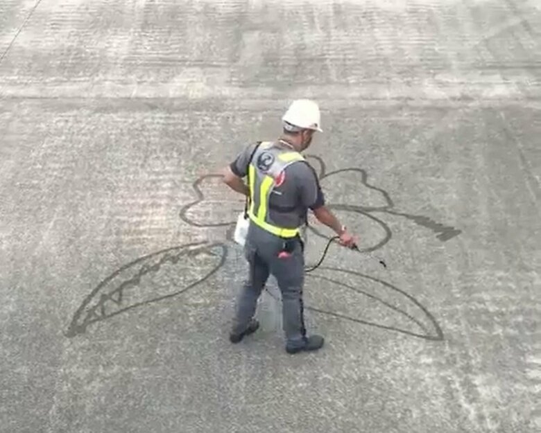 動画はハイビスカスの描く途中から始まる