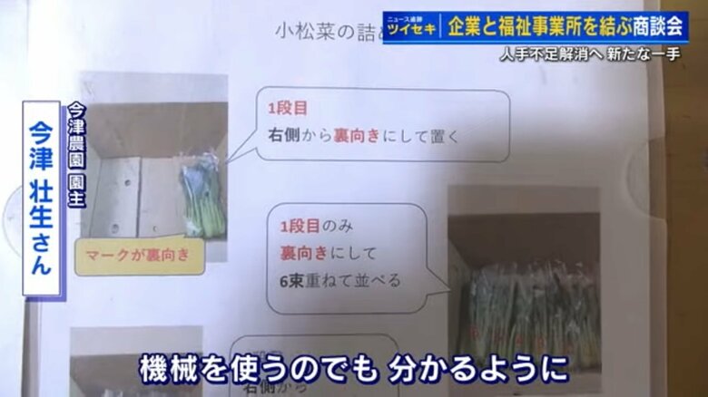 野菜の詰め方のマニュアル