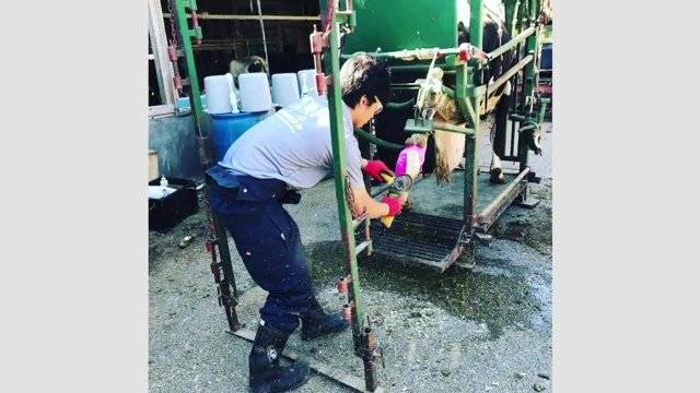 大学で牛の遺伝子について学んだ純真さん