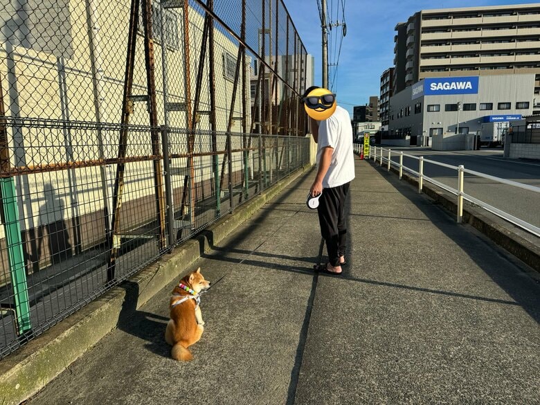 朝から散歩で嫌そう…（提供：わさび一族さん）