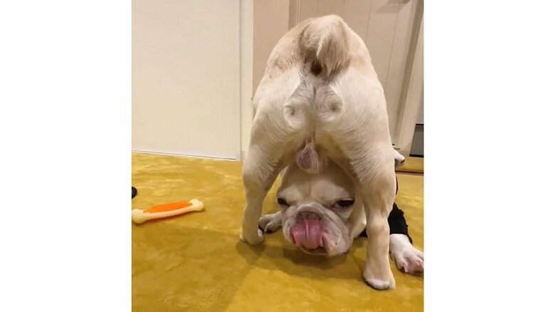 余裕そうな表情