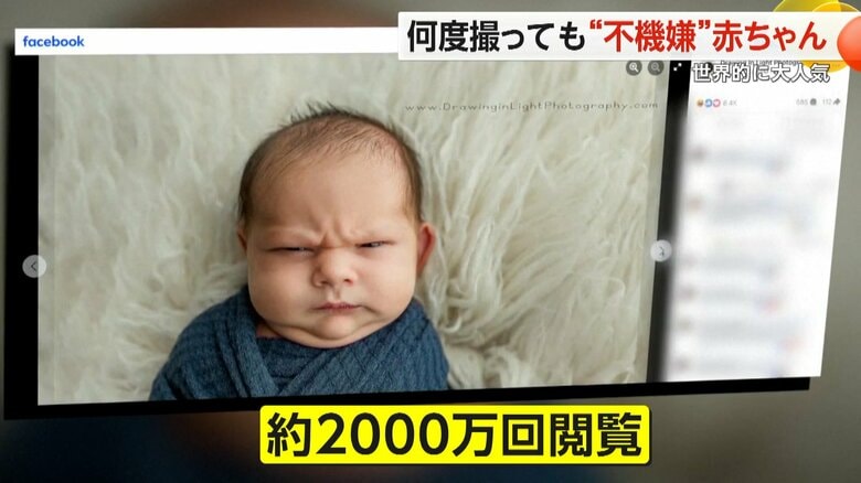 眉間にしわを寄せ、ちょっぴり不機嫌そうな表情をする生後1週間のトレントくん