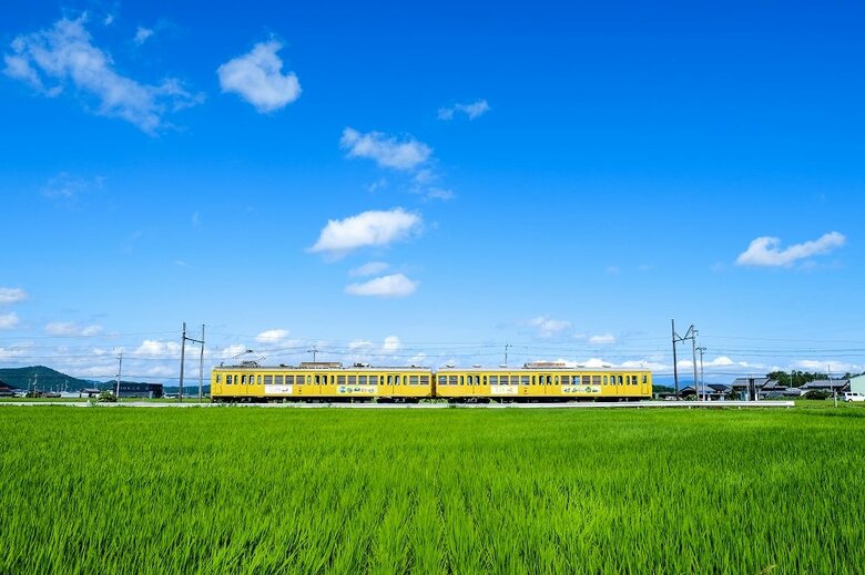 ※車両の様子（画像提供：近江鉄道）