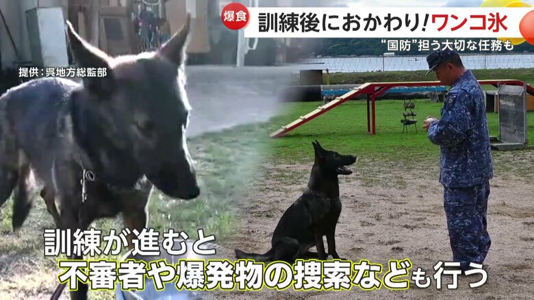 職務に真剣に向き合うもみじちゃん