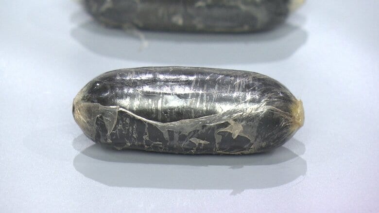 長さ約5cm　重さ10g
