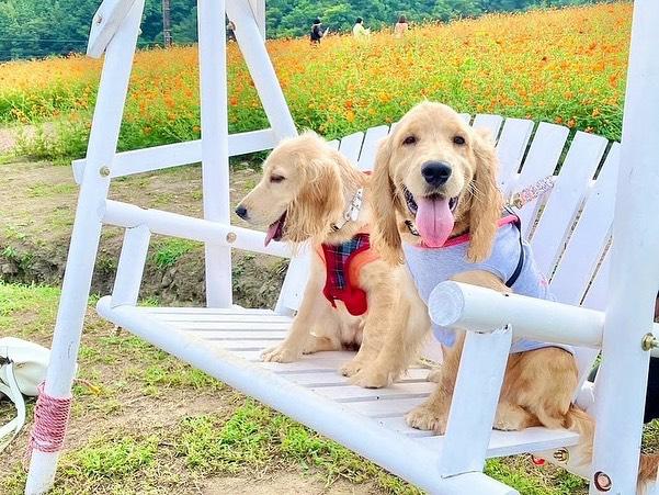 提供：関口和也さん