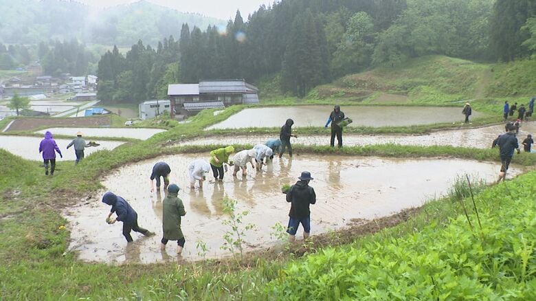 北五百川の棚田