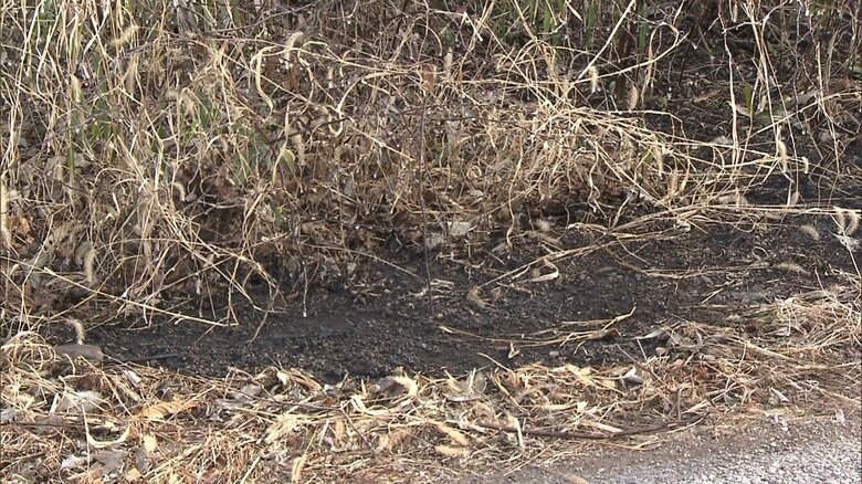 21日も宇都宮市内で雑木林など燃える