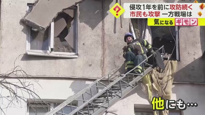 ミサイル攻撃を受けた現場からネコが救出される一部始終②
