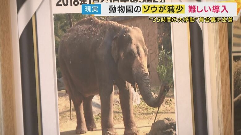 天王寺動物園で死んだ「最後の一頭」
