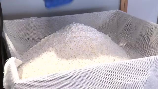 福島県オリジナル米「天のつぶ」