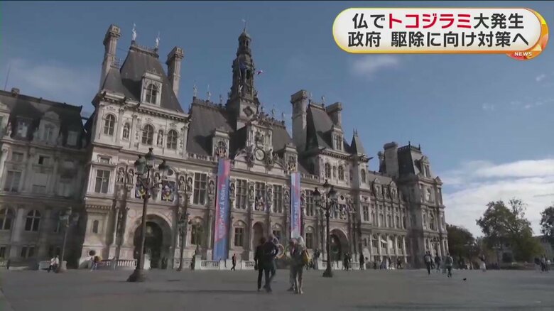 2024年にはオリンピック開催を控えるフランス