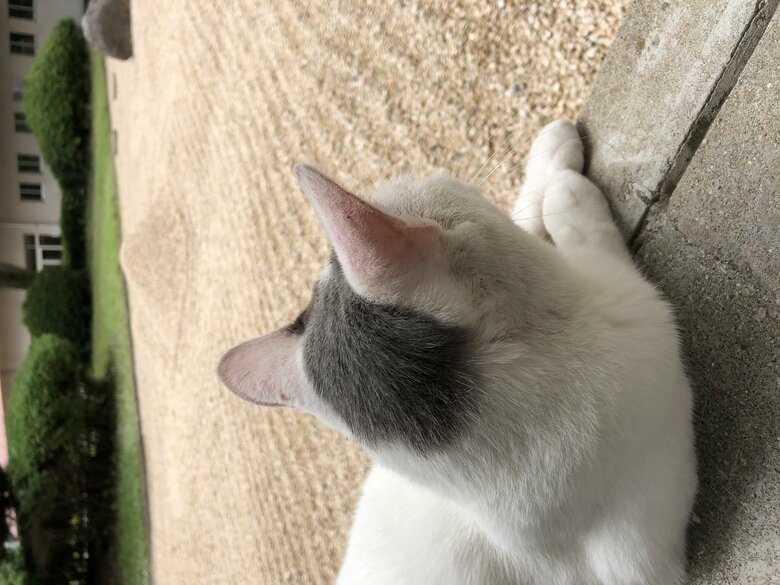 庭を眺めながらまったり