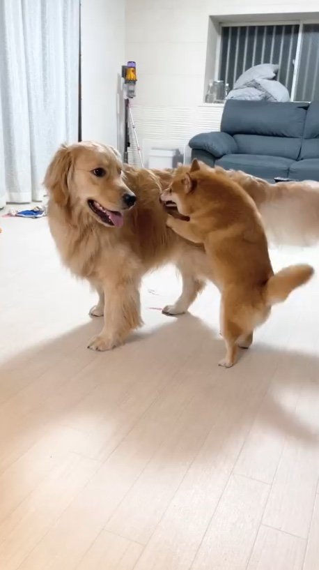 提供：うにandおからさん