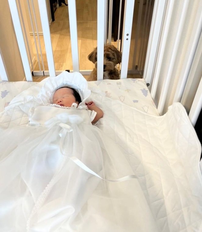 ベビーベッド越しに見守るマルちゃん