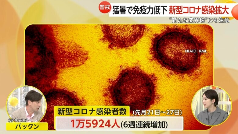 6週連続で感染者数が増加しているという新型コロナウイルス