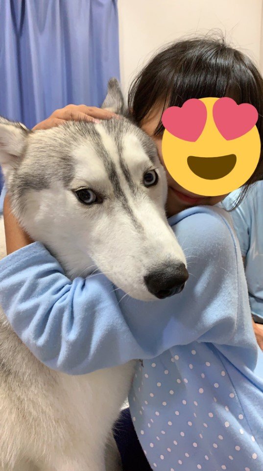 仲良し（提供：misaさん）