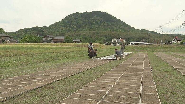 集落営農法人　アグリストあじむMIRAI