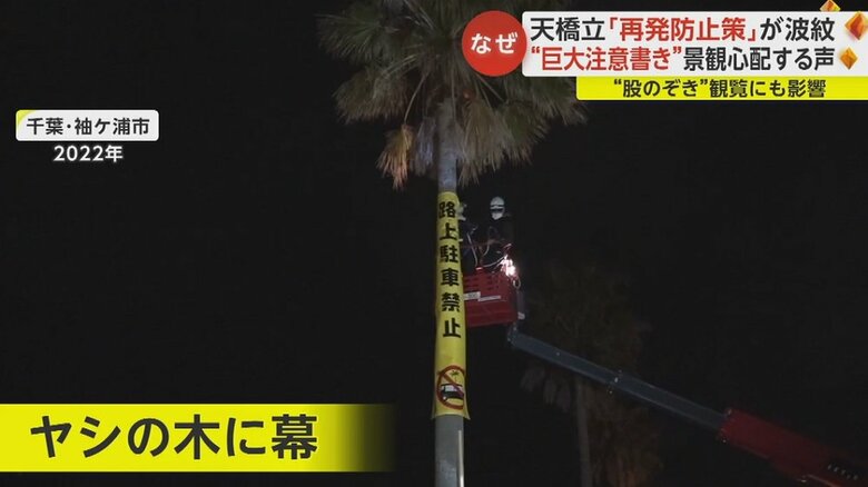 ヤシの木に注意書きをしたところ、批判が殺到した