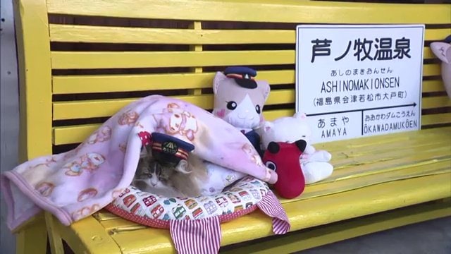 駅長の仕事にも慣れてきた？