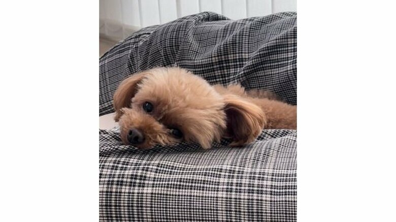 パパさんの足の間にすっぽり