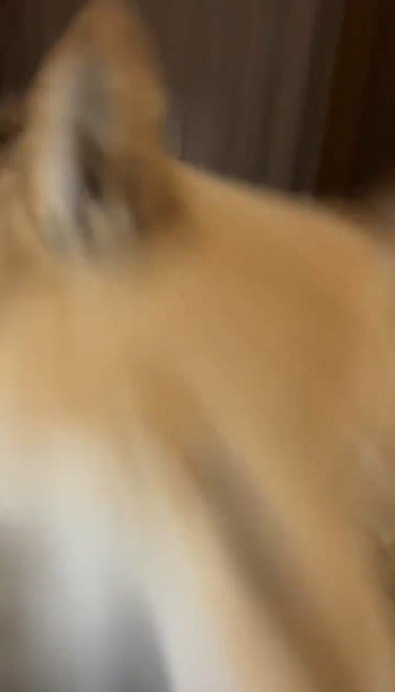 体当たりするかのように