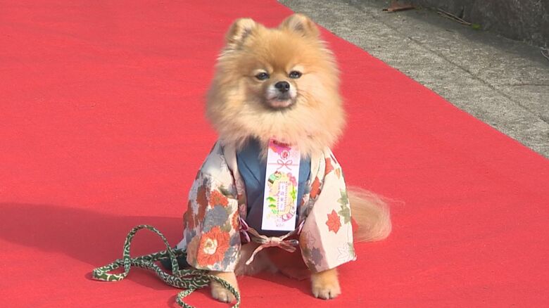 着物を着た はに丸くん