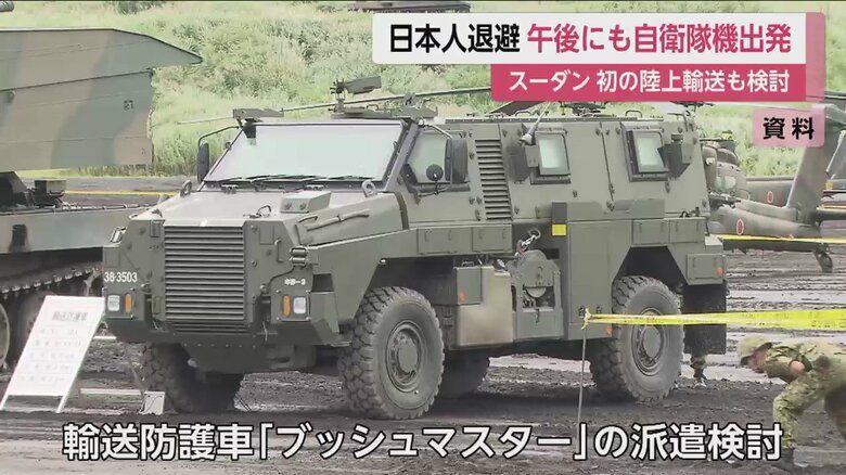 地雷などが爆発しても走り続けられるという「ブッシュマスター」の派遣検討