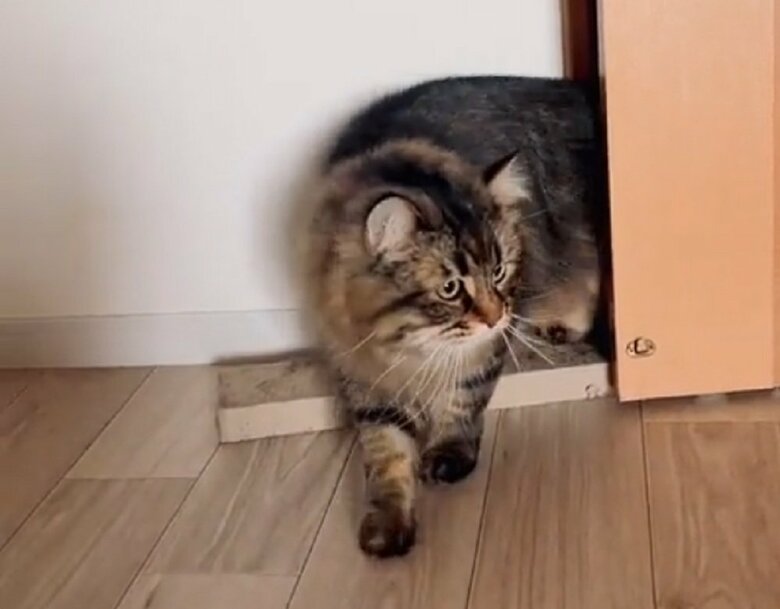 もう一歩