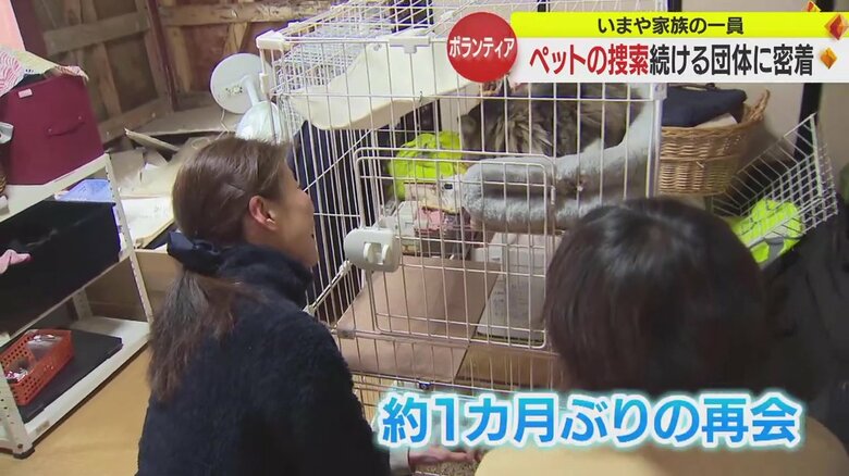 ペットと再会する飼い主の女性