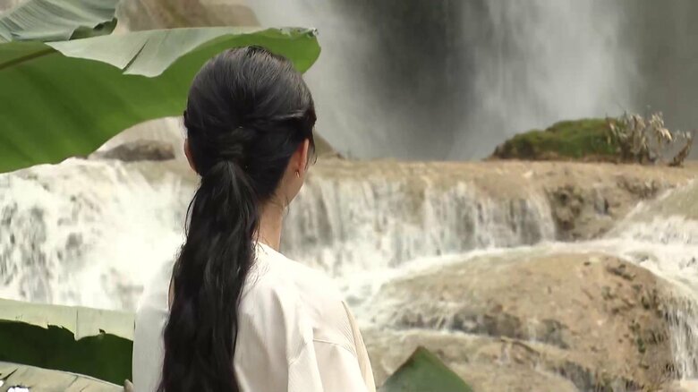 観光名所「クワンシーの滝」を訪問された（11月20日）