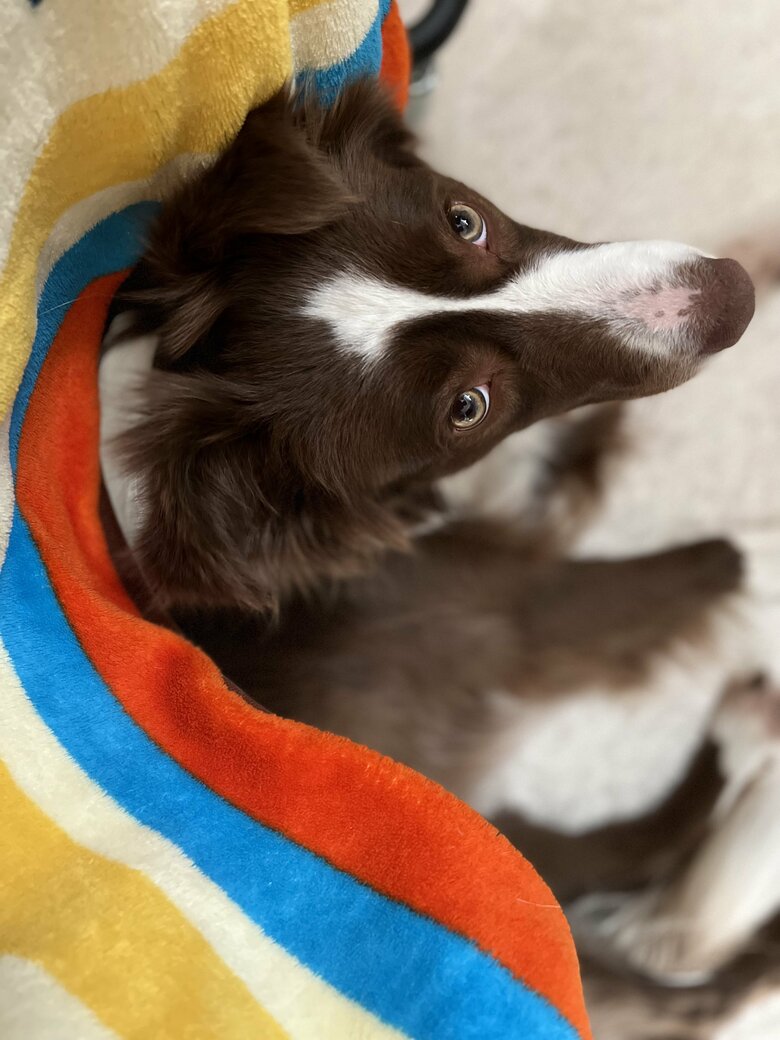 提供：ゆに＆メッシさん