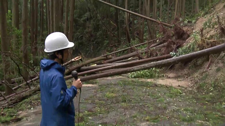 鹿児島・薩摩川内市で道路を倒木がふさぐ