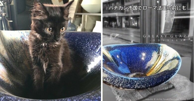 小さかったころのネルソンくんが入っているのは、銀河釉界で傑作と名高いという「銀河のオデッセイ」