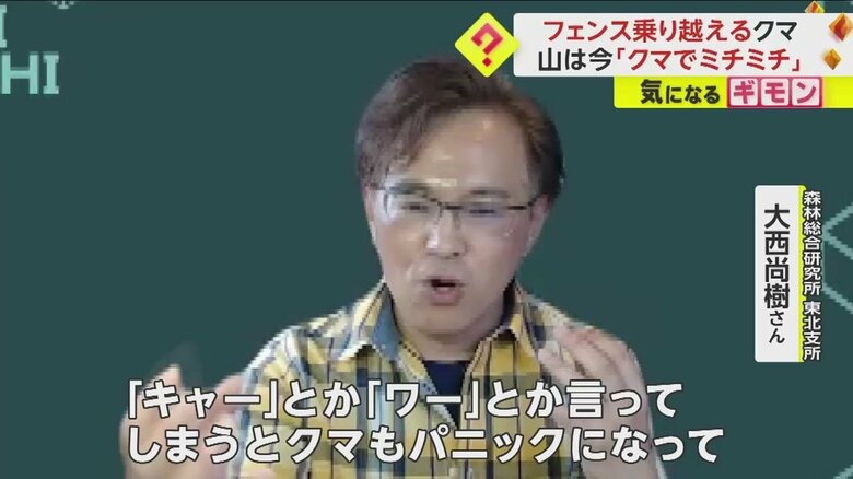 クマと出会ったときの対処法を話す、専門家