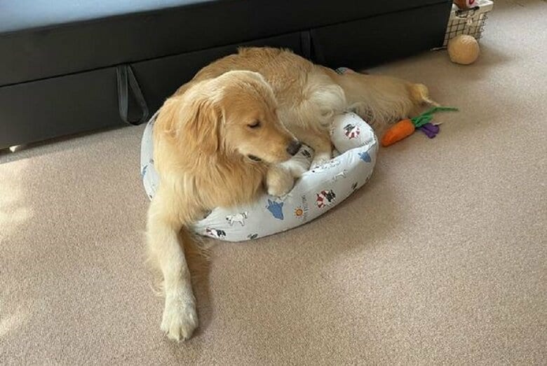 ベッドを取られて小さいベッドへ…