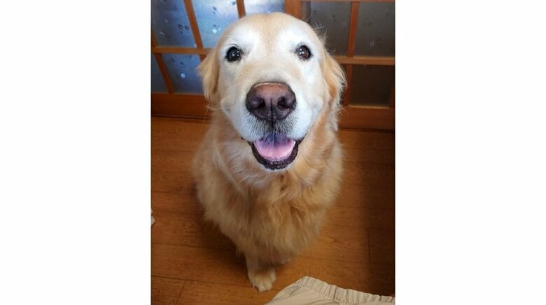 あきさんの愛犬