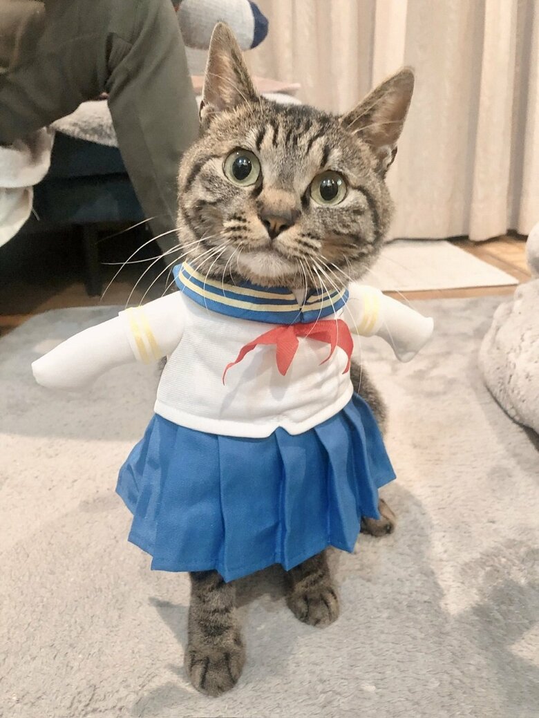 セーラー戦士に変身！
